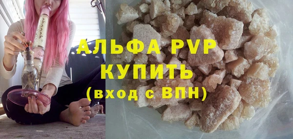 PSILOCYBIN Балахна