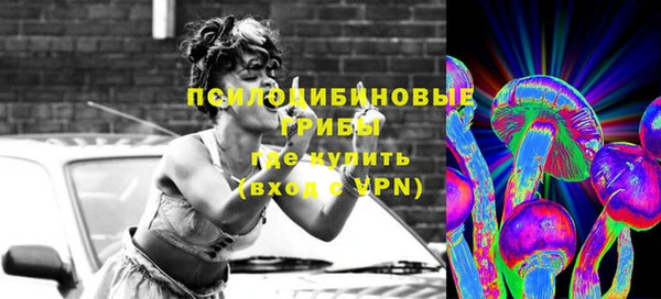 PSILOCYBIN Балахна