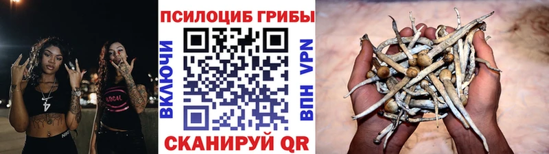 Псилоцибиновые грибы GOLDEN TEACHER  хочу   Севск 